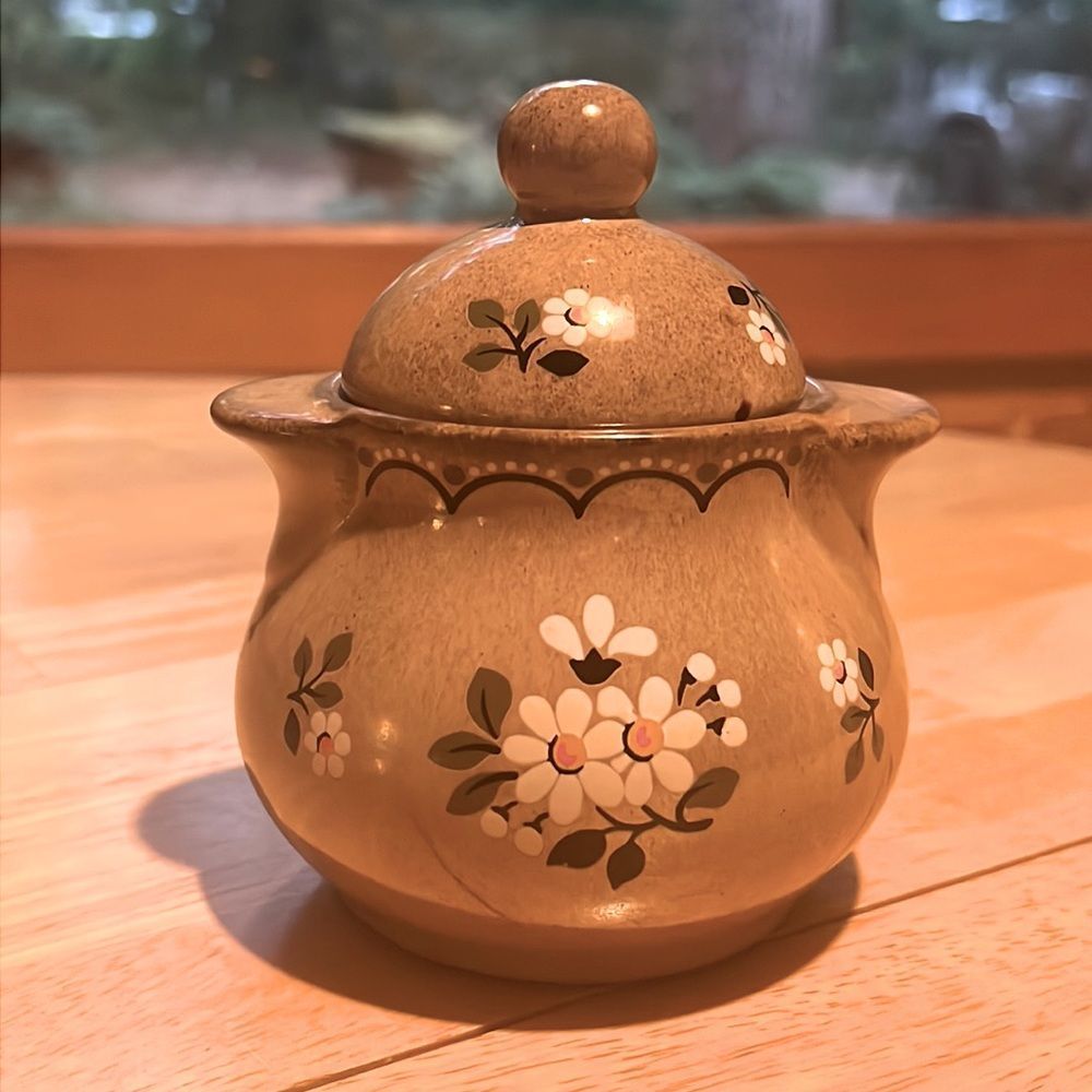 Vintage Rare Hand Painted Sugarbowl Germany Pfalzkeramik Brown White Daisies